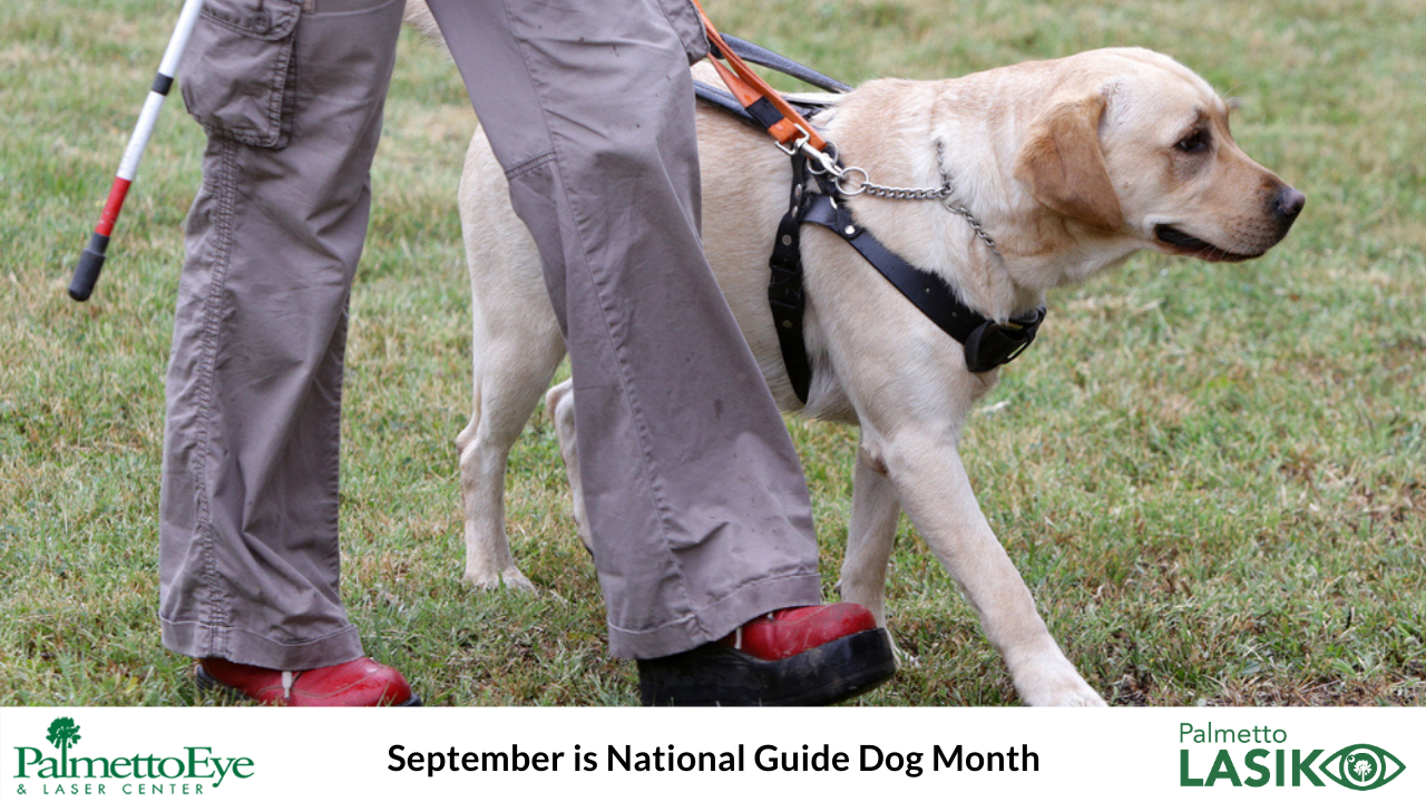 National Guide Dog Month
