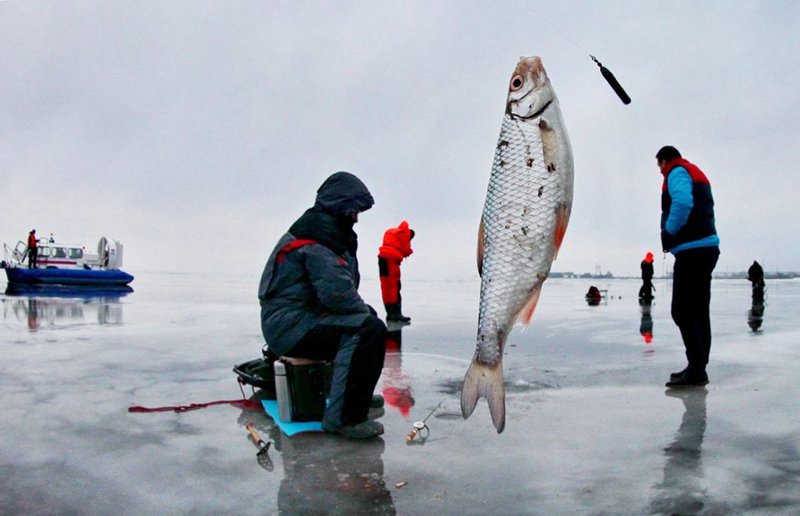 Experience the Thrills of Ice Fishing Live Casino in the UK in United Kigdom